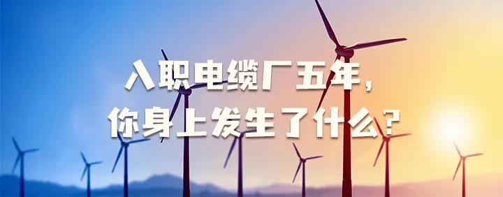 入職電纜廠五年，你身上發(fā)生了哪些變化~